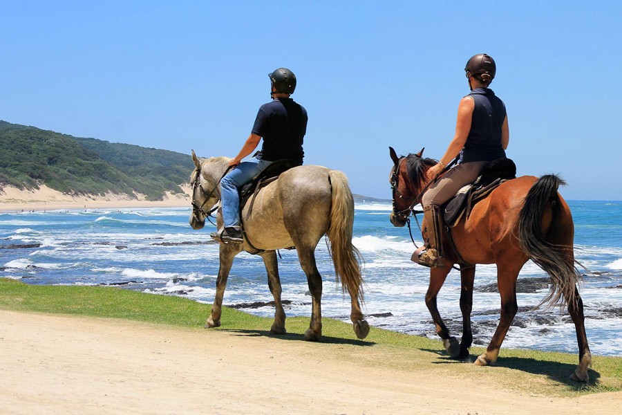 Horse Back Riding