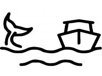 Whale Watching