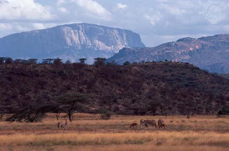 Lake Nakuru - Maasai Mara