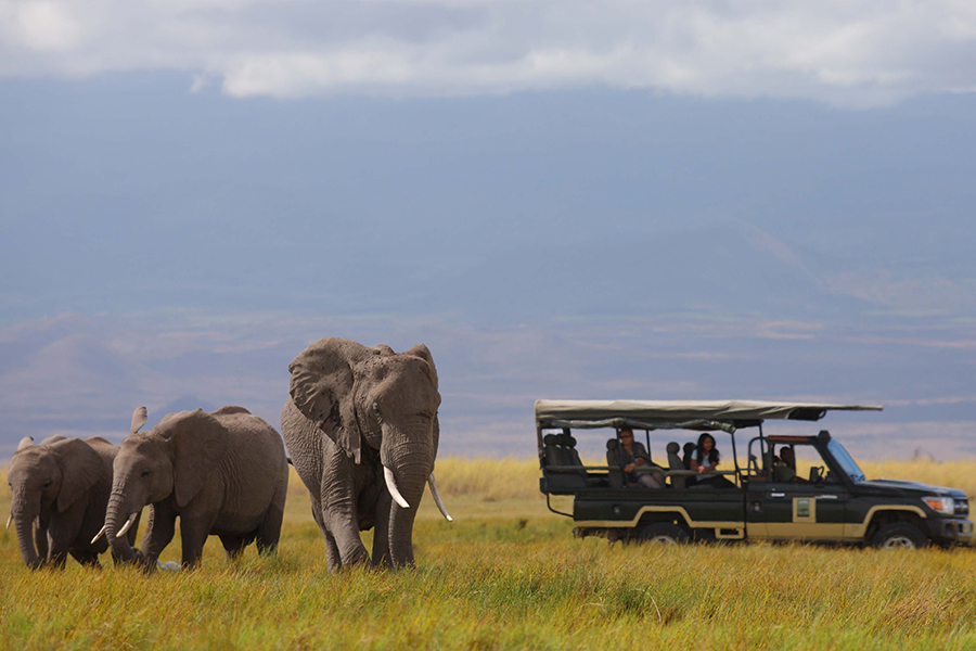 Kenya Tour