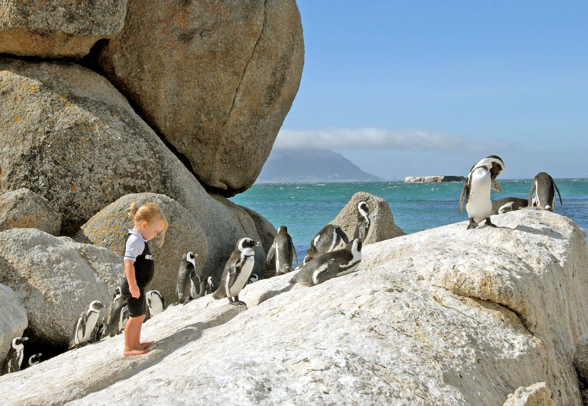 Cape Town Cruising