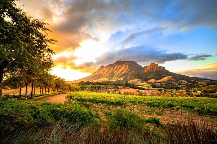 2 Nights in Stellenbosch