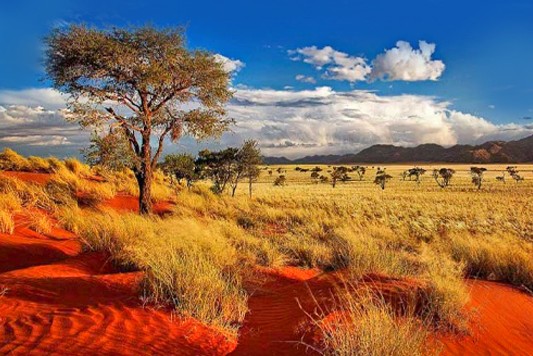 Namibia Tour