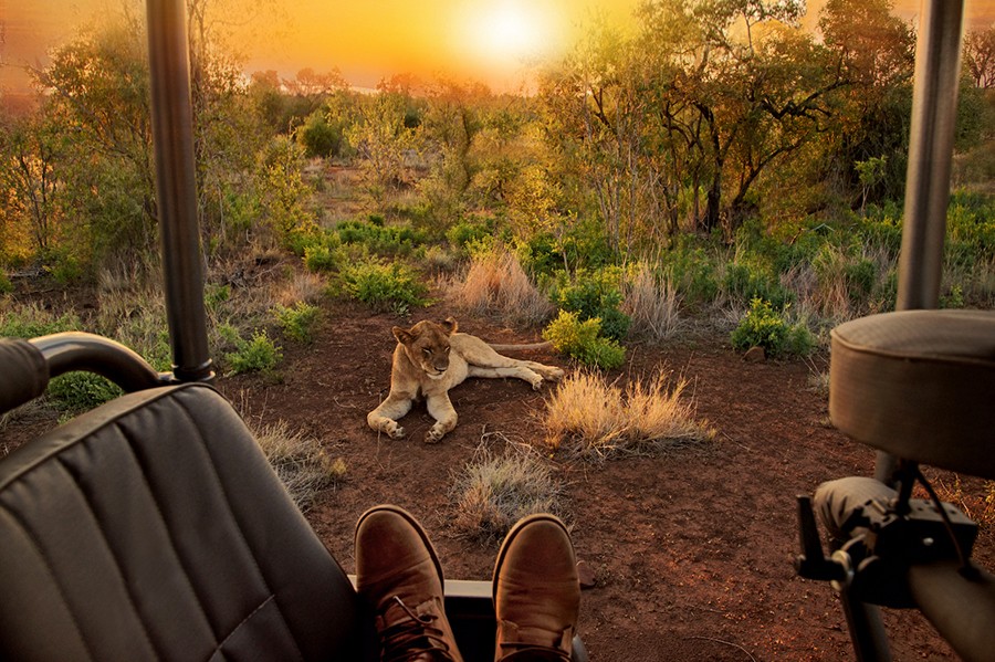 South African Country Tour