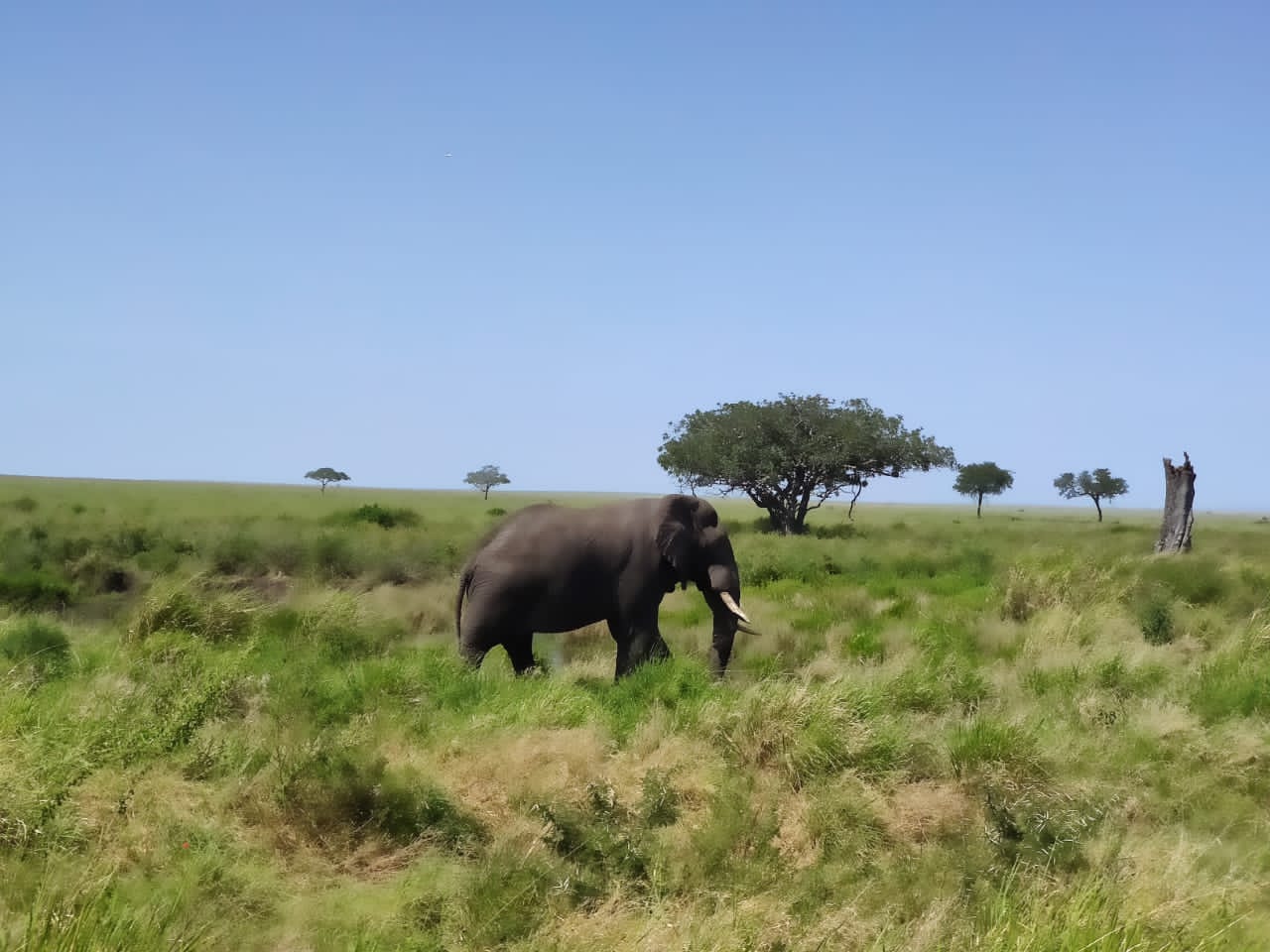 Tanzania Tour
