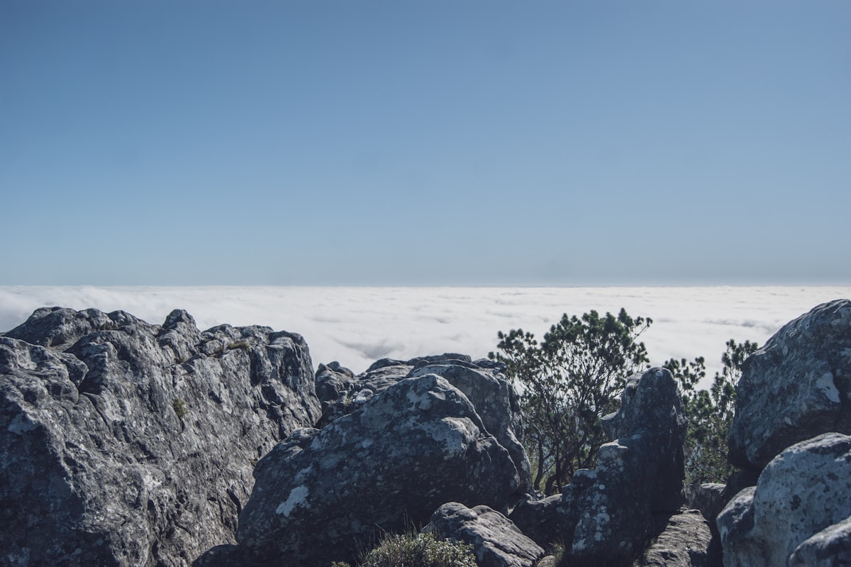 Mountain hiking trail in South Africa