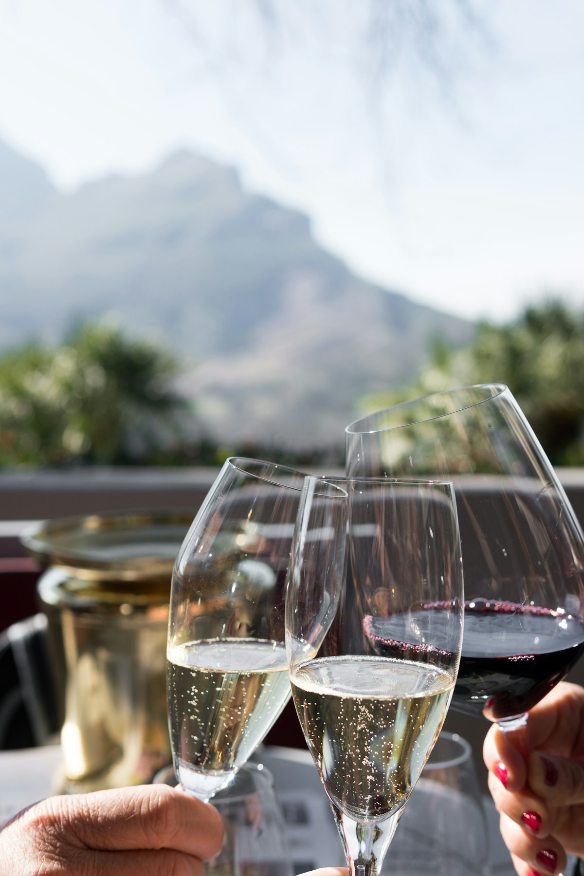 Wine tasting experience in South Africa